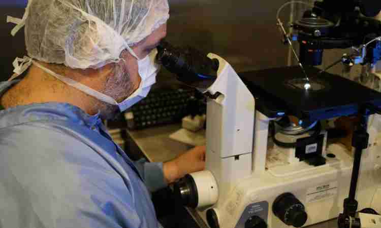 Clínica Sollirium é pioneira na adoção de tecnologia avançada para avaliação de óvulos e melhora precisão no diagnóstico